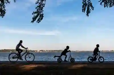 늦가을 아산 은행나무길을 즐기는 산책 꿀팁