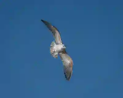 MIUI9 퀵카드 기능 활용하기 위한 4가지 꿀팁