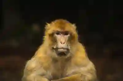 세벡스 로잉머신 구매 전 알아봐야 할 3가지 포인트