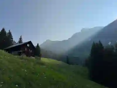 엣지 브라우저 세로 탭 및 상단 도구 모음 설정 방법 알아보자