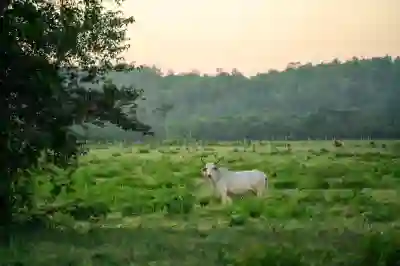 천안 미미제면소에서 꼭 먹어봐야 할 메뉴 살펴보기