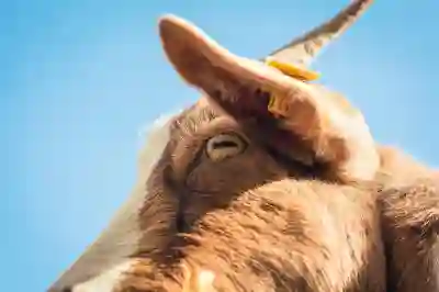 LG 스마트폰으로 스크롤 화면 캡쳐와 GIF 캡쳐하는 방법 알아보자