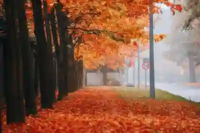 세무사 자격증 합격을 위한 필수 꿀팁 알아보자