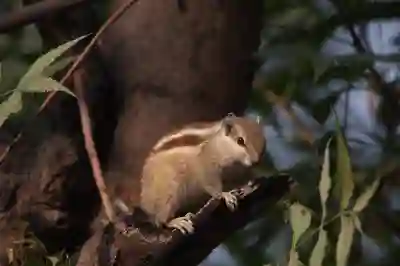 윈도우10 초기화하는 방법과 꿀팁 알아보기