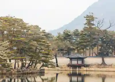 전국 축제 정보를 한눈에 알아보는 방법