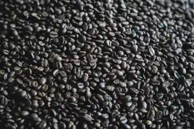 서귀포 대정읍에서 분위기 좋은 카페 10곳 살펴보기