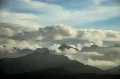 춘천시 서면 치과 정보 완벽하게 알아보자