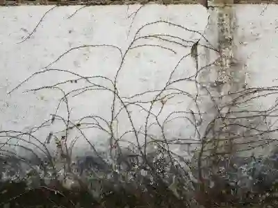 안성시 고삼면 무한리필 맛집 완벽 추천