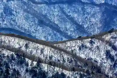 고성군 대가면에서 즐길 수 있는 무한리필 맛집 알아보자