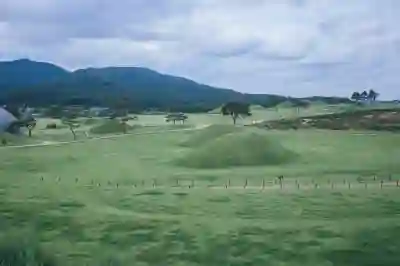 영주시 휴천1동 무한리필 맛집 추천 리스트 살펴보자