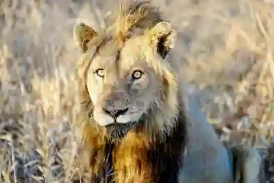 신평역 회식장소 인기 비결 4가지 살펴보기